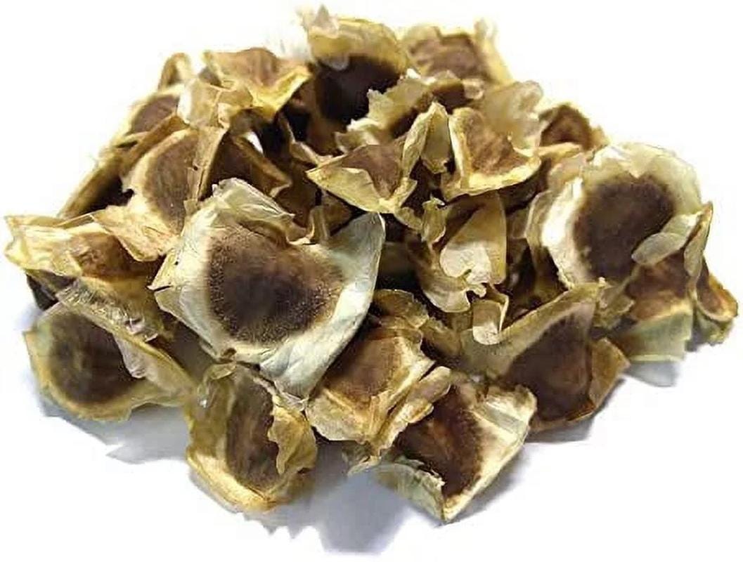 20+ Dwarf Moringa Tree Seeds